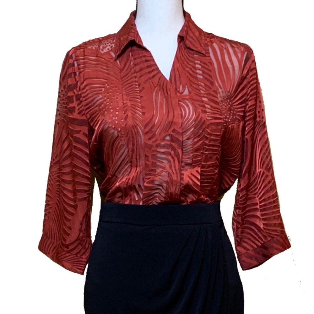 Coldwater Creek Rust Burnout Blouse A17